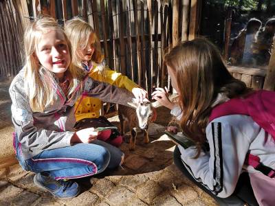 Zoobesuch 07.09.2020