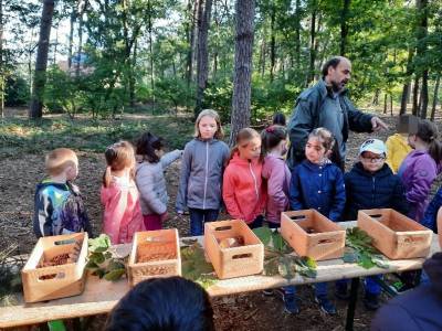 Besuch der Rollenden Waldschule 02.09.2020 - 