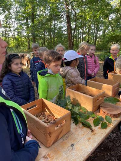 Besuch der Rollenden Waldschule 25.08.2021 - 