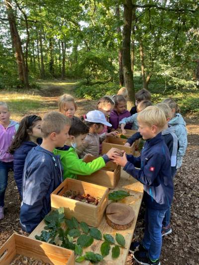 Besuch der Rollenden Waldschule 25.08.2021 - 