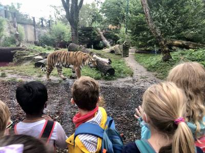 Schulausflug zum Allwetterzoo Mnster 16.09.2021 - 