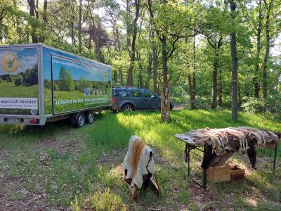 Besuch der Rollenden Waldschule 11.05.2022 - 