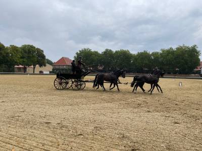 Ausflug zum Landgestt 08.09.2022 - 