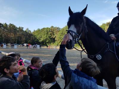Bundeschampionate 06.09.2019