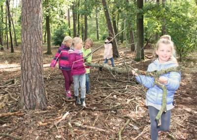 Rollende Waldschule  17./18.09.2019 - 